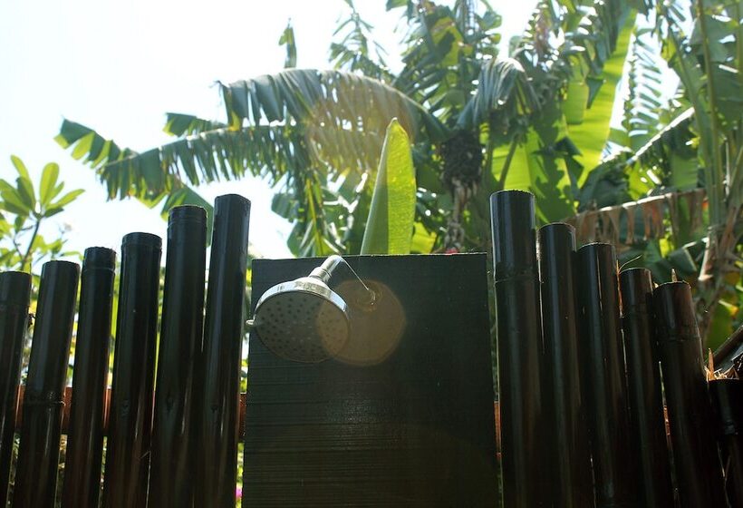 ホテル Seabreeze Hostel Bali