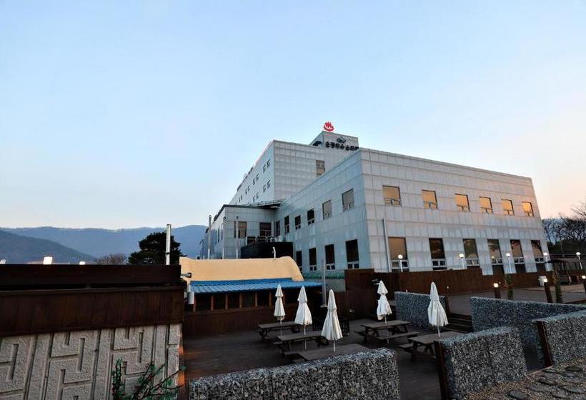 Отель Cheongju Sejong Spatel