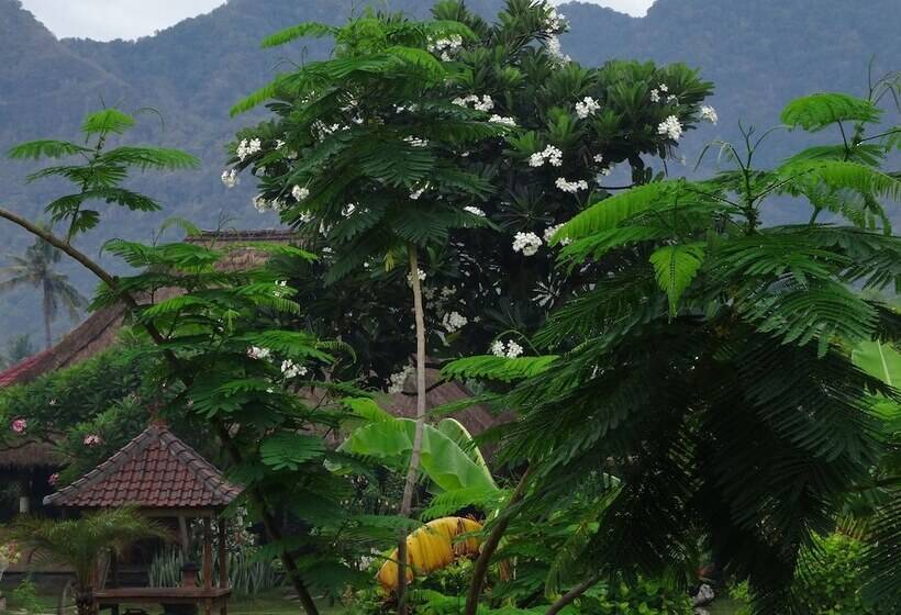 בית מלון כפרי Sunia Loka