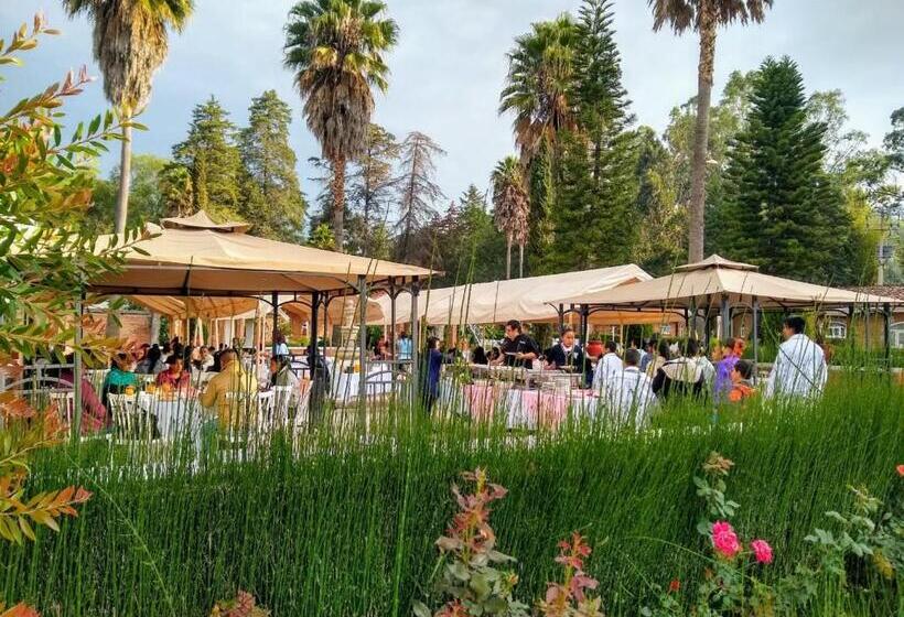 فندق Villa Monarca Inn