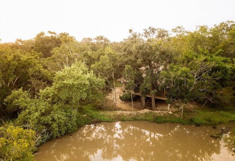 호텔 Yala Safari Camping