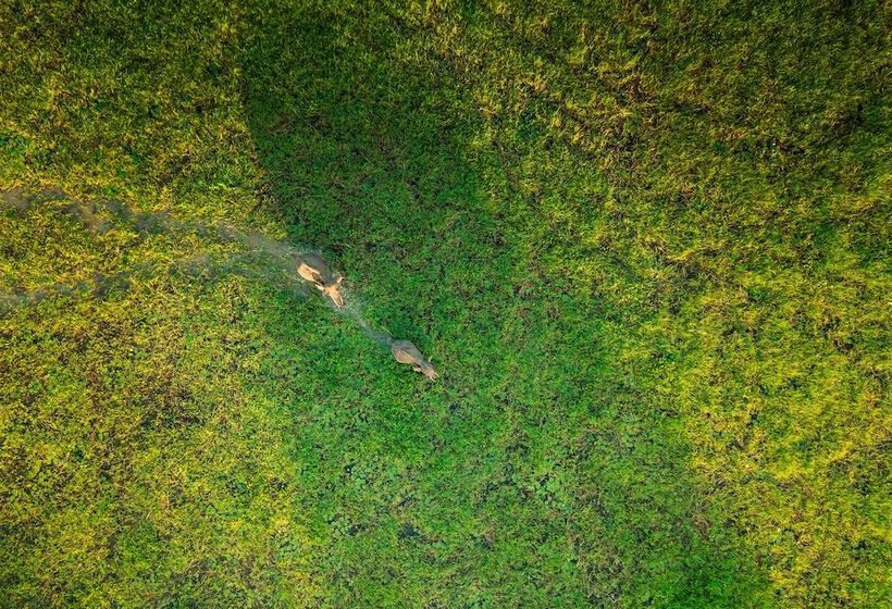 호텔 Yala Safari Camping