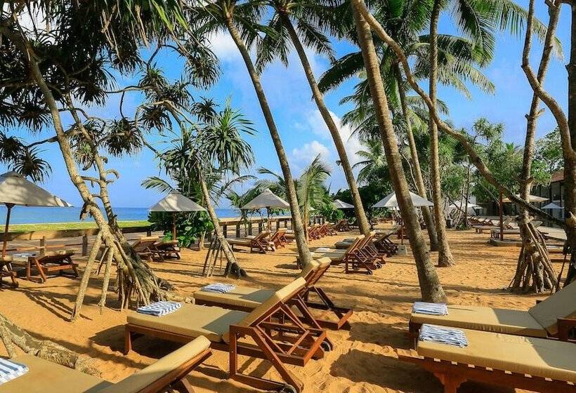 Pandanus Beach Resort & Spa