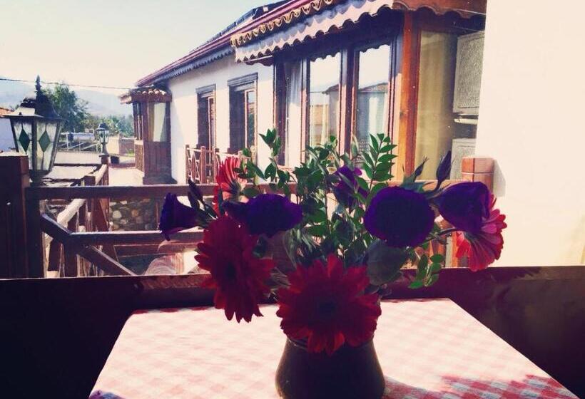 Пансион Amazon Petite Palace