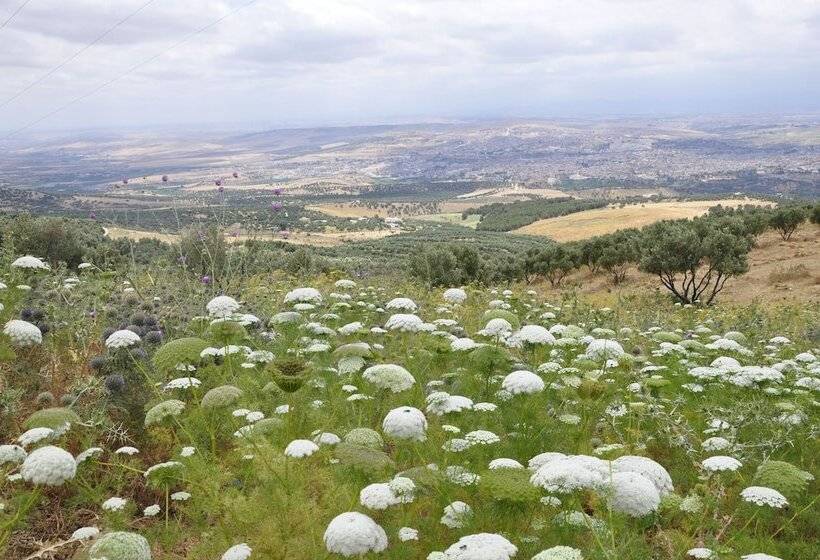 膳宿费 Dar 7 Louyat