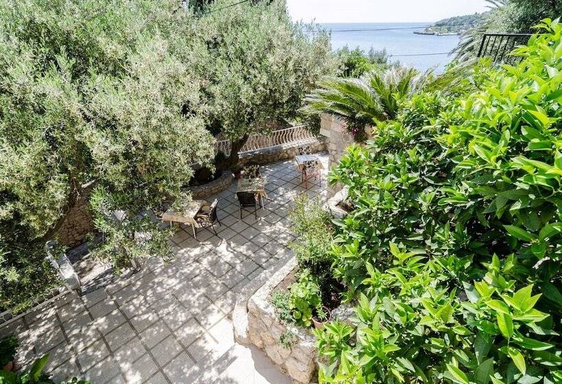 ペンション Guest House Daniela