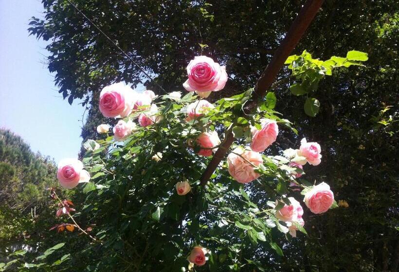 بنسيون Villa Arianna B&b