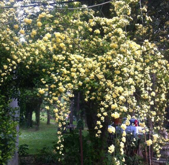 بنسيون Villa Arianna B&b