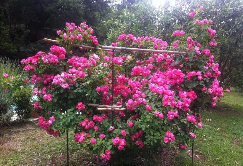 بنسيون Villa Arianna B&b