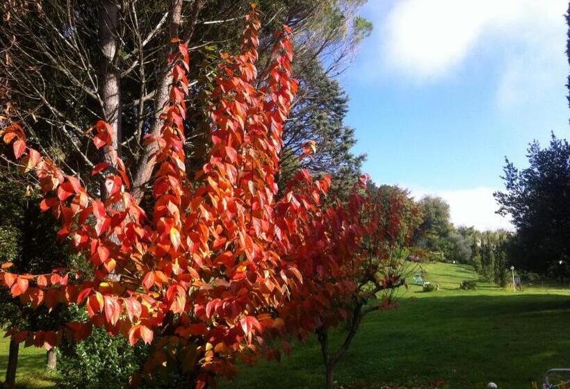 بنسيون Villa Arianna B&b