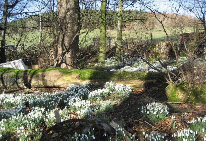 بنسيون Whitchester Christian Centre