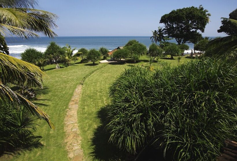 Pondok Pitaya Hotel, Surfing & Yoga