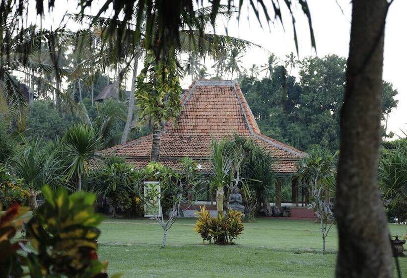 Pondok Pitaya Hotel, Surfing & Yoga