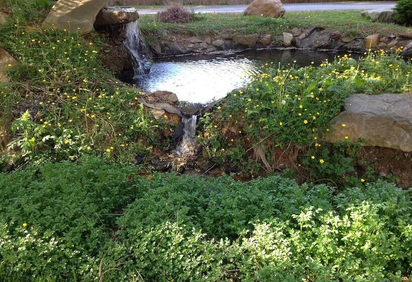 Travelowes Motel Maggie Valley