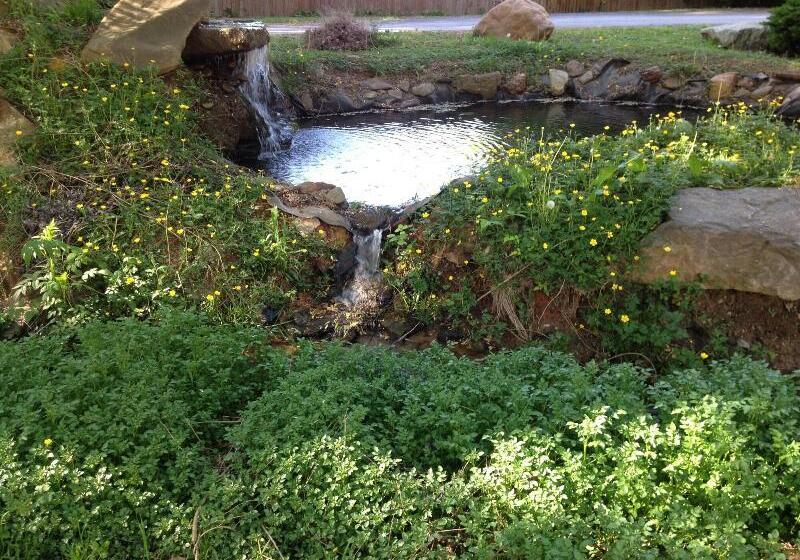 Travelowes Motel Maggie Valley