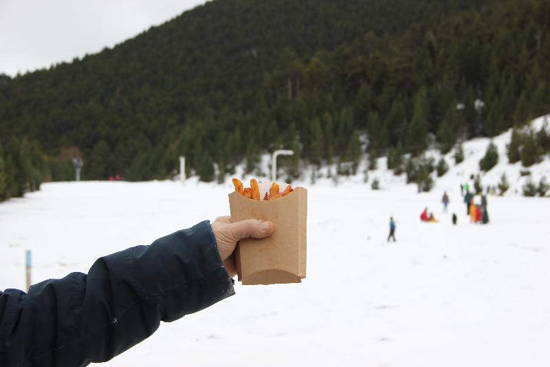 酒店 Ecolodge Puigmal 2900 Lodges In Move