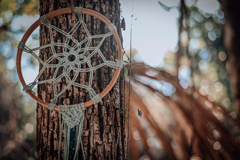 فندق Lunita Jungle