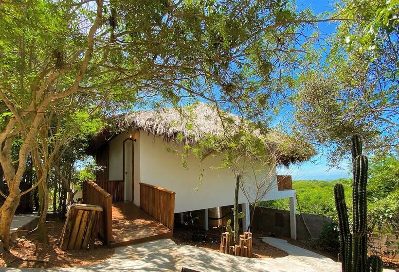 酒店 Palm Valley Cabins