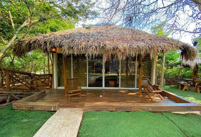 酒店 Palm Valley Cabins