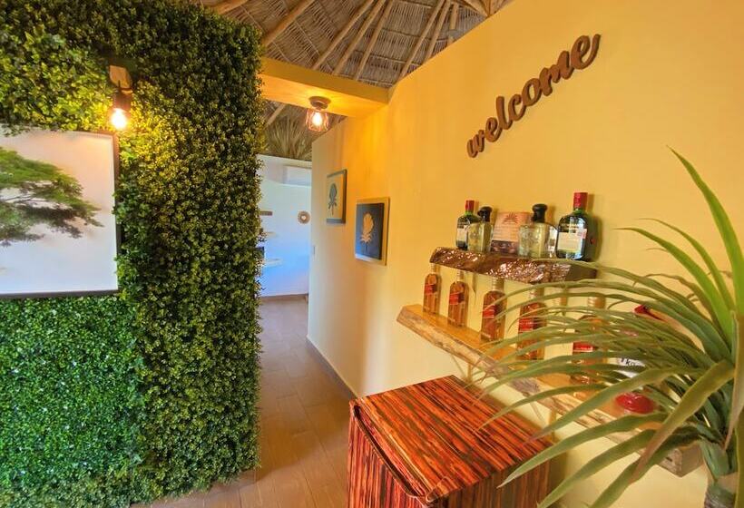 酒店 Palm Valley Cabins