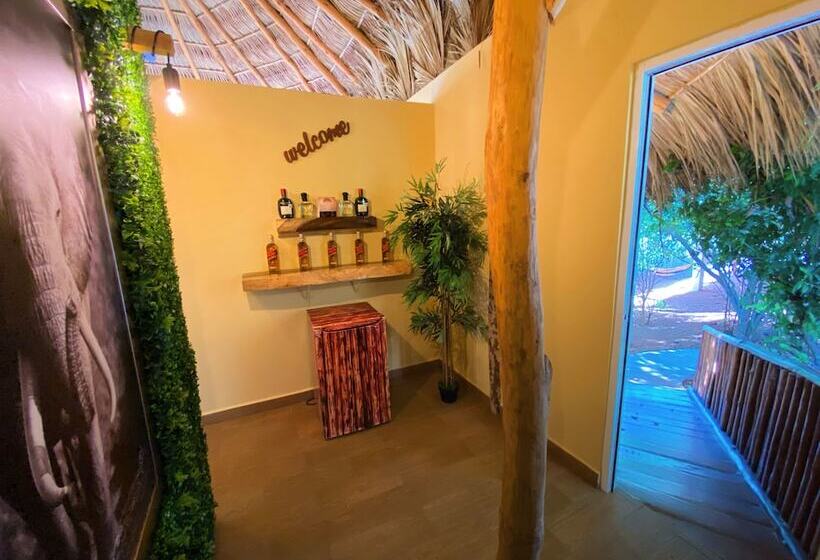 酒店 Palm Valley Cabins