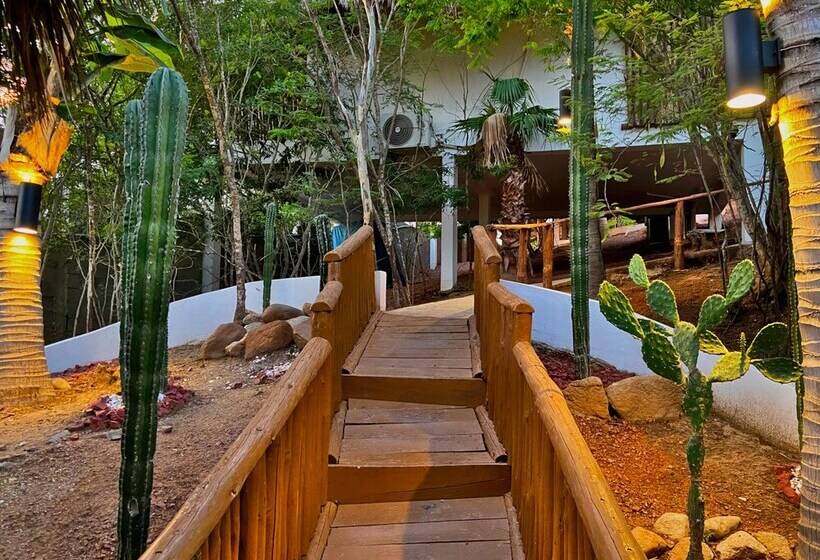 酒店 Palm Valley Cabins