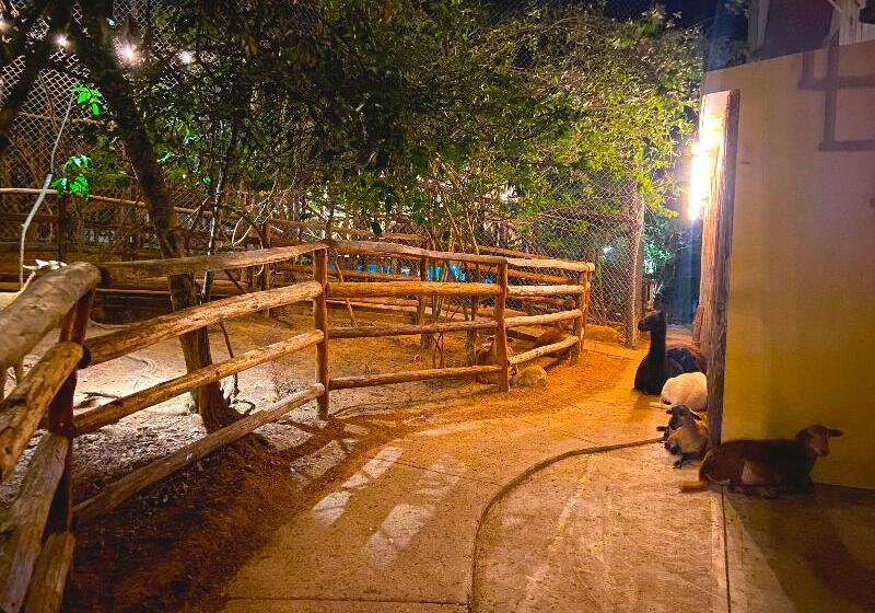 酒店 Palm Valley Cabins