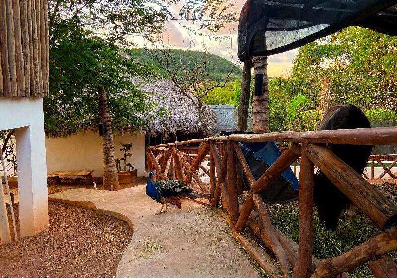 酒店 Palm Valley Cabins