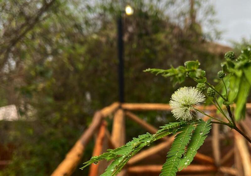 酒店 Palm Valley Cabins