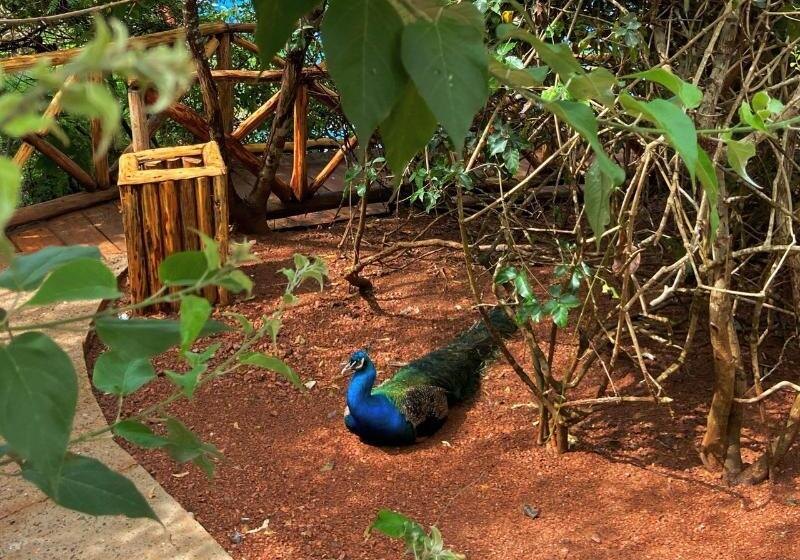 酒店 Palm Valley Cabins