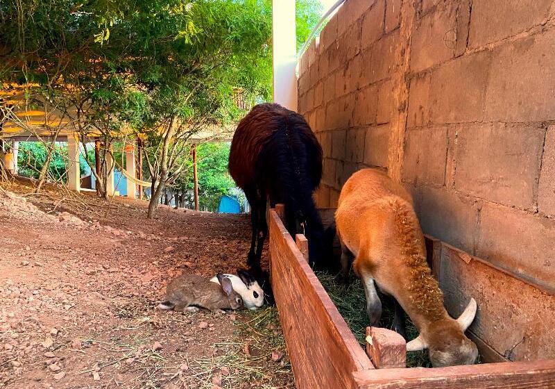 酒店 Palm Valley Cabins