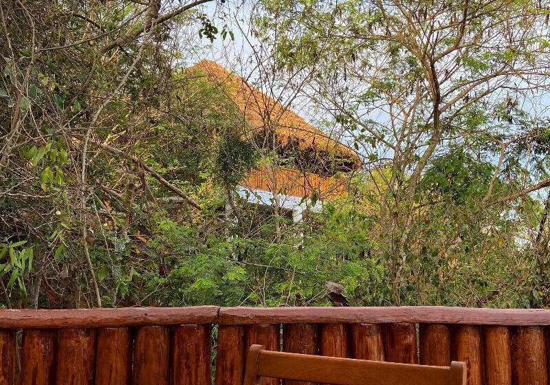 酒店 Palm Valley Cabins