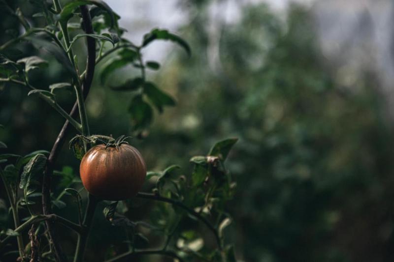 호텔 Auberge Frankenbourg