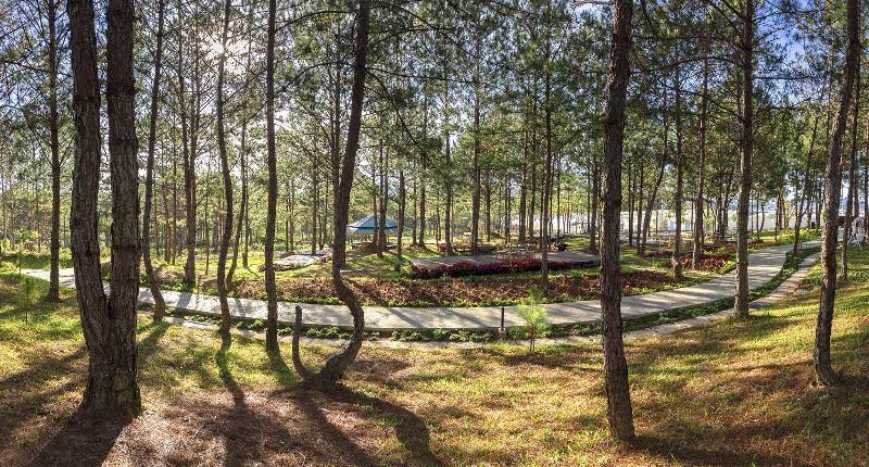 هتل Kim Resort   Khu Nghĩ Dưỡng Rừng Lá Kim