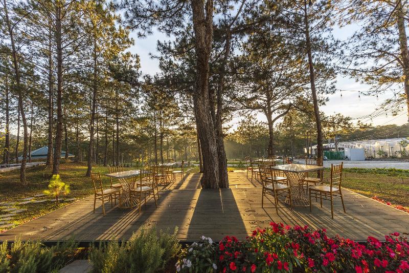 هتل Kim Resort   Khu Nghĩ Dưỡng Rừng Lá Kim