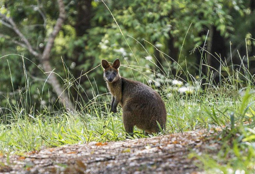 تختخواب و صبحانه Abelia House