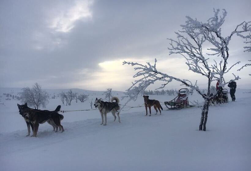 فندق صغير Amber Lodge Mt Buller