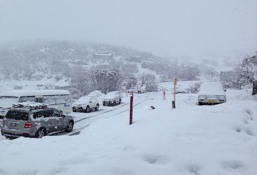 צימר The Lions Lair