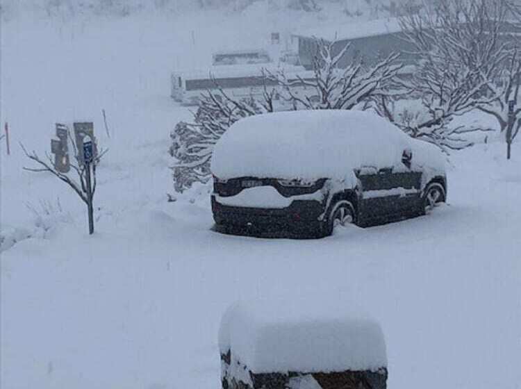 צימר The Lions Lair