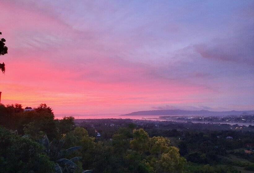 Bohol Vantage Resort