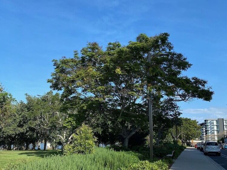 City Ville Apartments And Motel