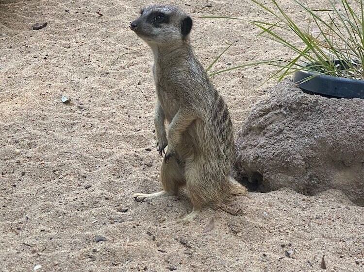 City Ville Apartments And Motel