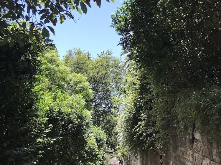 Edgecliff Lodge Motel