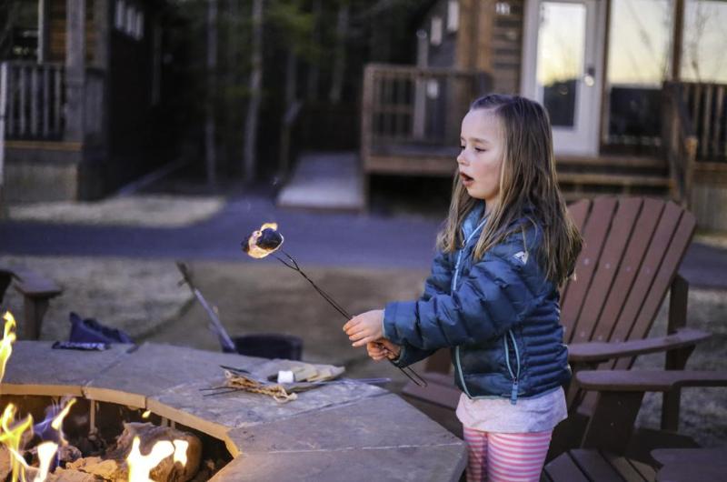 Explorer Cabins At Yellowstone