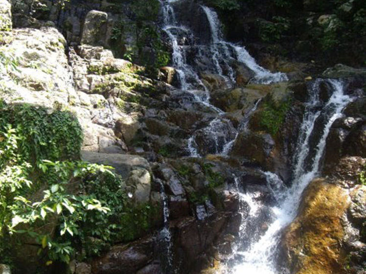 فندق Bagus Place Retreat