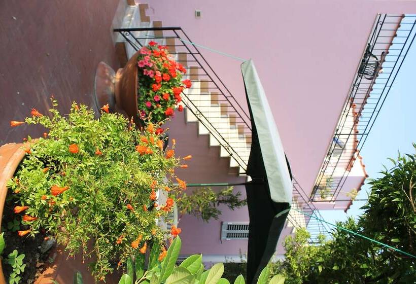 فندق B&b Luna Di Miele