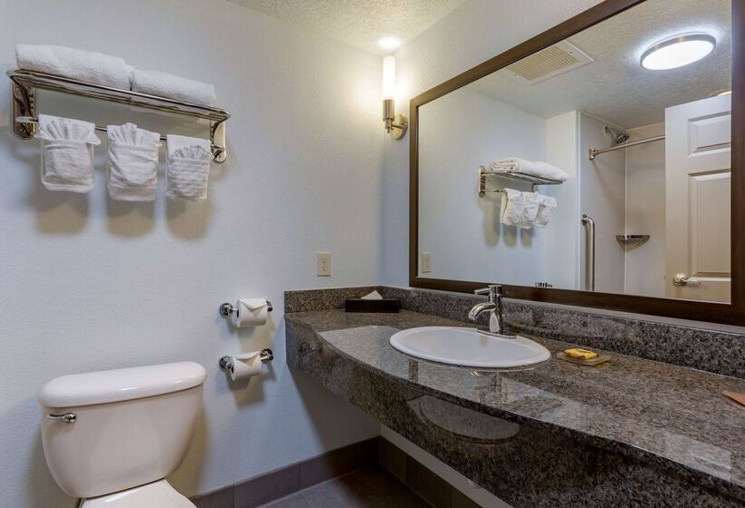 فندق Best Western Plus Gallup Inn & Suites