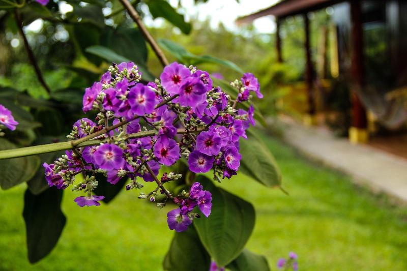 فندق Catarata Eco Lodge