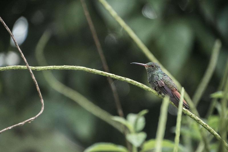 فندق Catarata Eco Lodge