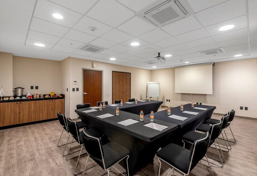 호텔 City Express Plus By Marriott Guadalajara Palomar